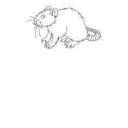 Disegno da colorare: Ratto (Animali) #15215 - Pagine da Colorare Stampabili Gratuite