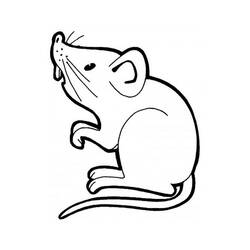 Disegno da colorare: Ratto (Animali) #15219 - Pagine da Colorare Stampabili Gratuite