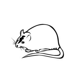Disegno da colorare: Ratto (Animali) #15255 - Pagine da Colorare Stampabili Gratuite