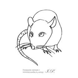 Disegno da colorare: Ratto (Animali) #15264 - Pagine da Colorare Stampabili Gratuite