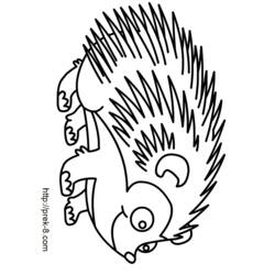 Disegno da colorare: Riccio (Animali) #8249 - Pagine da Colorare Stampabili Gratuite