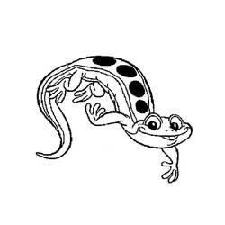 Disegno da colorare: Salamandra (Animali) #19891 - Pagine da Colorare Stampabili Gratuite