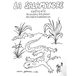 Disegno da colorare: Salamandra (Animali) #19893 - Pagine da Colorare Stampabili Gratuite