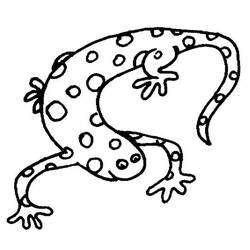 Disegno da colorare: Salamandra (Animali) #19895 - Pagine da Colorare Stampabili Gratuite
