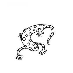 Disegno da colorare: Salamandra (Animali) #19905 - Pagine da Colorare Stampabili Gratuite