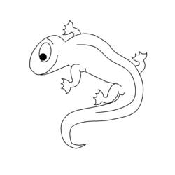 Disegno da colorare: Salamandra (Animali) #19906 - Pagine da Colorare Stampabili Gratuite