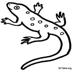 Disegno da colorare: Salamandra (Animali) #19911 - Pagine da Colorare Stampabili Gratuite