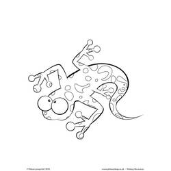 Disegno da colorare: Salamandra (Animali) #19944 - Pagine da Colorare Stampabili Gratuite
