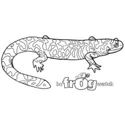 Disegno da colorare: Salamandra (Animali) #19956 - Pagine da Colorare Stampabili Gratuite