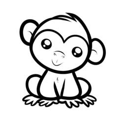 Disegne da colorare: Scimmia - Pagine da Colorare Stampabili Gratuite