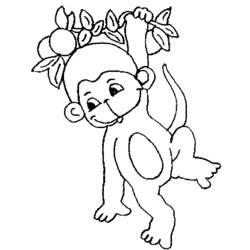 Disegno da colorare: Scimmia (Animali) #14143 - Pagine da Colorare Stampabili Gratuite