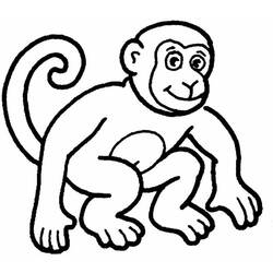 Disegno da colorare: Scimmia (Animali) #14144 - Pagine da Colorare Stampabili Gratuite
