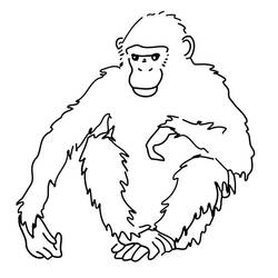 Disegno da colorare: Scimmia (Animali) #14152 - Pagine da Colorare Stampabili Gratuite