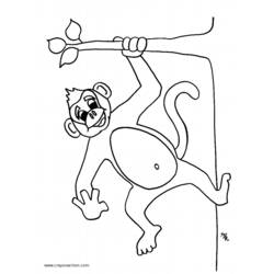 Disegno da colorare: Scimmia (Animali) #14155 - Pagine da Colorare Stampabili Gratuite