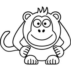 Disegno da colorare: Scimmia (Animali) #14165 - Pagine da Colorare Stampabili Gratuite