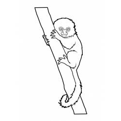 Disegno da colorare: Scimmia (Animali) #14168 - Pagine da Colorare Stampabili Gratuite
