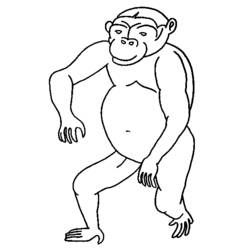 Disegno da colorare: Scimmia (Animali) #14187 - Pagine da Colorare Stampabili Gratuite