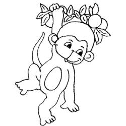 Disegno da colorare: Scimmia (Animali) #14203 - Pagine da Colorare Stampabili Gratuite