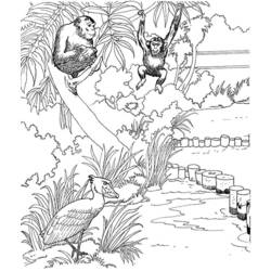 Disegno da colorare: Scimmia (Animali) #14206 - Pagine da Colorare Stampabili Gratuite