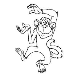 Disegno da colorare: Scimmia (Animali) #14224 - Pagine da Colorare Stampabili Gratuite