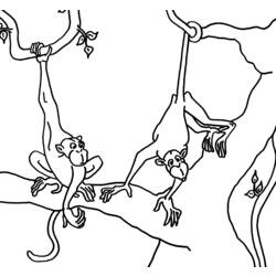 Disegno da colorare: Scimmia (Animali) #14232 - Pagine da Colorare Stampabili Gratuite