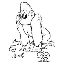 Disegno da colorare: Scimmia (Animali) #14242 - Pagine da Colorare Stampabili Gratuite