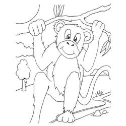 Disegno da colorare: Scimmia (Animali) #14252 - Pagine da Colorare Stampabili Gratuite