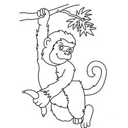 Disegno da colorare: Scimmia (Animali) #14254 - Pagine da Colorare Stampabili Gratuite