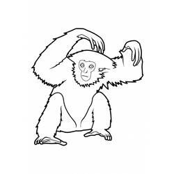 Disegno da colorare: Scimmia (Animali) #14261 - Pagine da Colorare Stampabili Gratuite