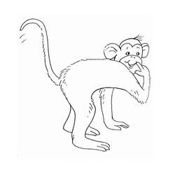 Disegno da colorare: Scimmia (Animali) #14278 - Pagine da Colorare Stampabili Gratuite