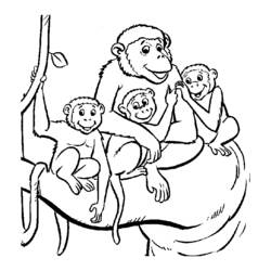 Disegno da colorare: Scimmia (Animali) #14290 - Pagine da Colorare Stampabili Gratuite
