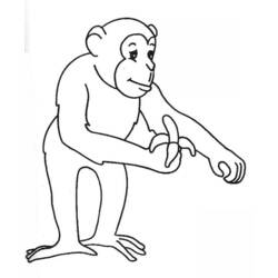 Disegno da colorare: Scimmia (Animali) #14291 - Pagine da Colorare Stampabili Gratuite