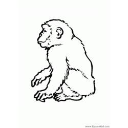 Disegno da colorare: Scimmia (Animali) #14295 - Pagine da Colorare Stampabili Gratuite