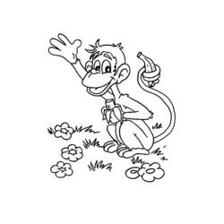 Disegno da colorare: Scimmia (Animali) #14300 - Pagine da Colorare Stampabili Gratuite