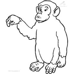 Disegno da colorare: Scimmia (Animali) #14304 - Pagine da Colorare Stampabili Gratuite