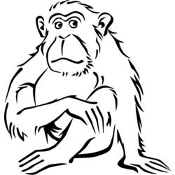 Disegno da colorare: Scimmia (Animali) #14320 - Pagine da Colorare Stampabili Gratuite