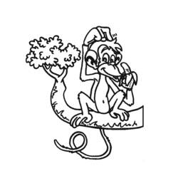 Disegno da colorare: Scimmia (Animali) #14327 - Pagine da Colorare Stampabili Gratuite