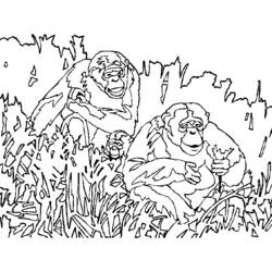 Disegno da colorare: Scimmia (Animali) #14331 - Pagine da Colorare Stampabili Gratuite