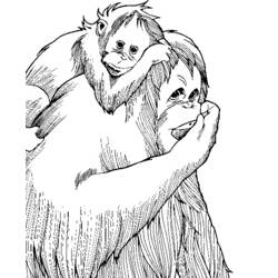 Disegno da colorare: Scimmia (Animali) #14333 - Pagine da Colorare Stampabili Gratuite