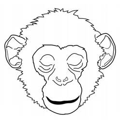 Disegno da colorare: Scimpanzé (Animali) #2773 - Pagine da Colorare Stampabili Gratuite