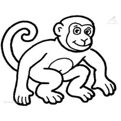 Disegno da colorare: Scimpanzé (Animali) #2788 - Pagine da Colorare Stampabili Gratuite