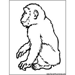 Disegno da colorare: Scimpanzé (Animali) #2794 - Pagine da Colorare Stampabili Gratuite