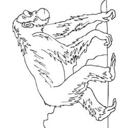 Disegno da colorare: Scimpanzé (Animali) #2796 - Pagine da Colorare Stampabili Gratuite