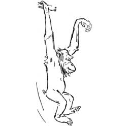 Disegno da colorare: Scimpanzé (Animali) #2812 - Pagine da Colorare Stampabili Gratuite