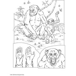 Disegno da colorare: Scimpanzé (Animali) #2832 - Pagine da Colorare Stampabili Gratuite