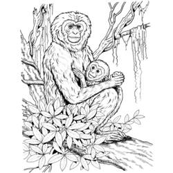 Disegno da colorare: Scimpanzé (Animali) #2833 - Pagine da Colorare Stampabili Gratuite
