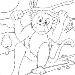 Disegno da colorare: Scimpanzé (Animali) #2866 - Pagine da Colorare Stampabili Gratuite