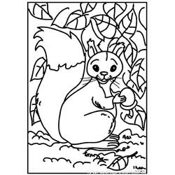 Disegno da colorare: Scoiattolo (Animali) #6100 - Pagine da Colorare Stampabili Gratuite