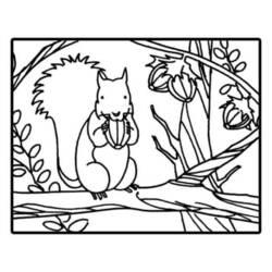 Disegno da colorare: Scoiattolo (Animali) #6159 - Pagine da Colorare Stampabili Gratuite