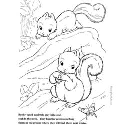 Disegno da colorare: Scoiattolo (Animali) #6191 - Pagine da Colorare Stampabili Gratuite